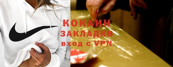 крисы Баксан