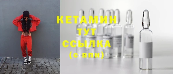 крисы Баксан