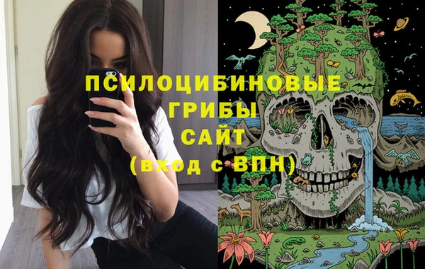 крисы Баксан