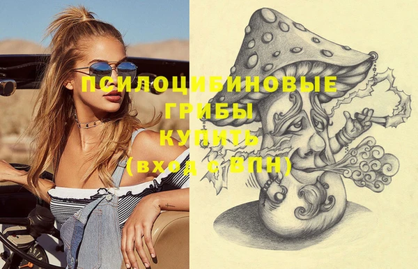 крисы Баксан