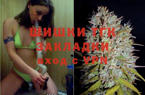 крисы Баксан