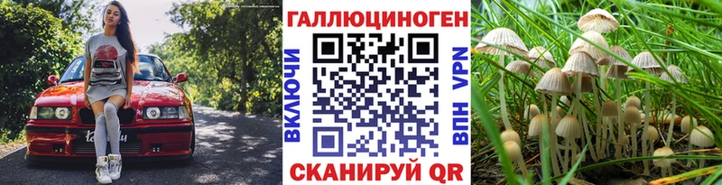 Галлюциногенные грибы Psilocybine cubensis  как найти наркотики  Заречный 