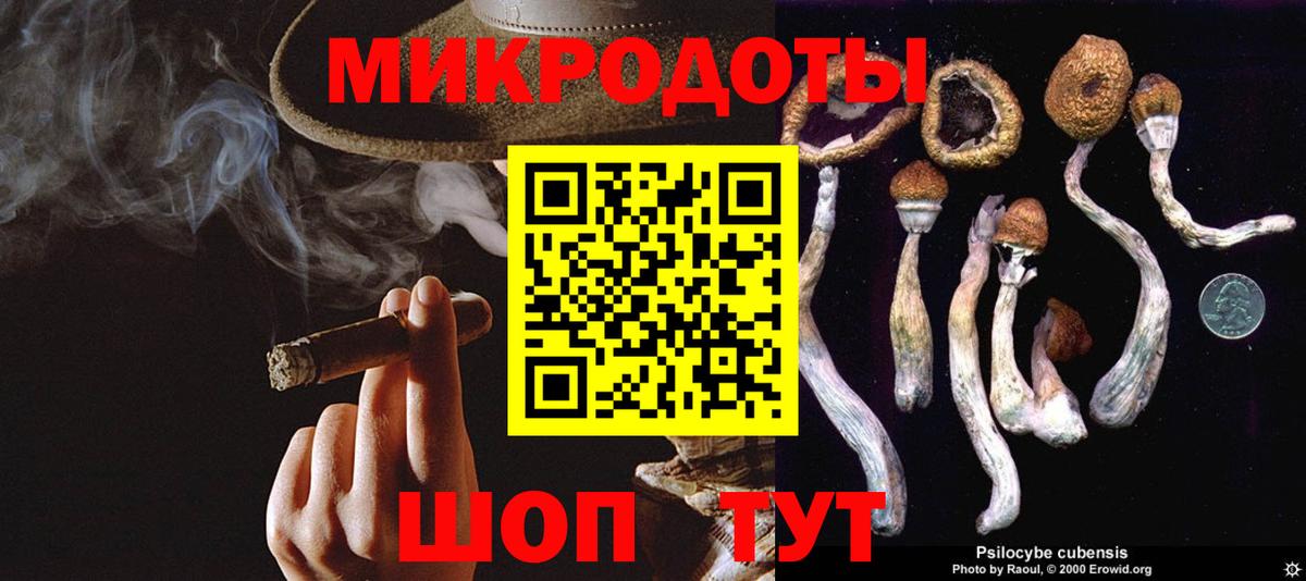 Галлюциногенные грибы Psilocybe  Псилоцибиновые грибы мицелий  Заречный  Вход с VPN 